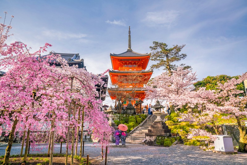 Best Time to Visit Japan: Here is the Complete Guide to How to Plan Your Trip There