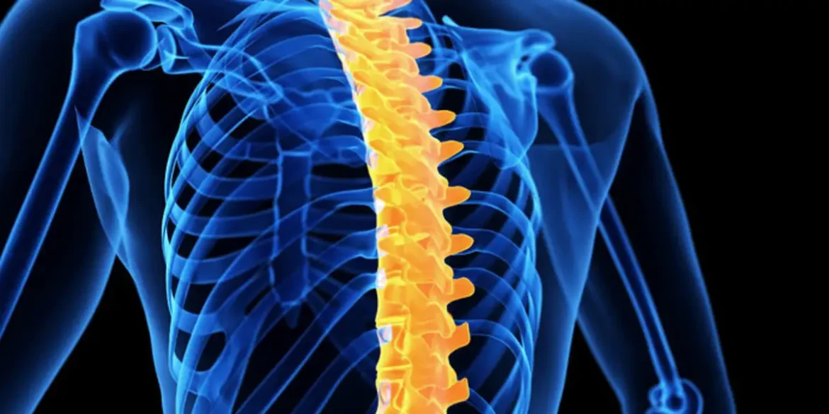 Is Your Thoracic Spine Whispering Warnings? Decoding the 5
