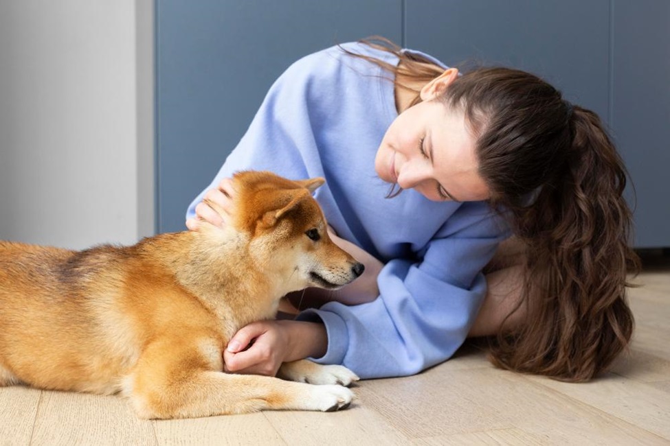 How to Provide the Best Care for Your Pet