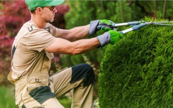 Tree Pruning
